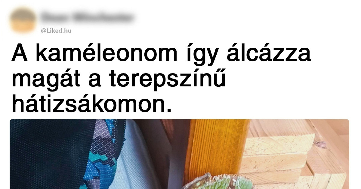 19 fotó, ami bizonyítja, hogy mennyire keveset tudunk a hétköznapi dolgokról