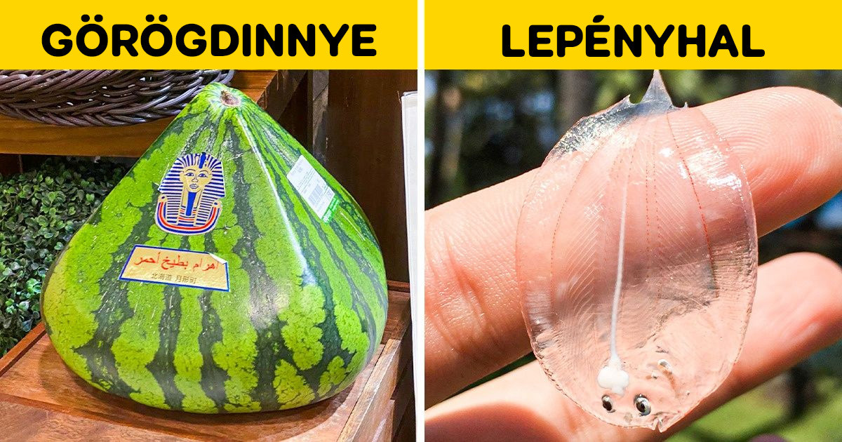 20+ dolog, amit csak nagyon kevesen láthattak a saját szemükkel
