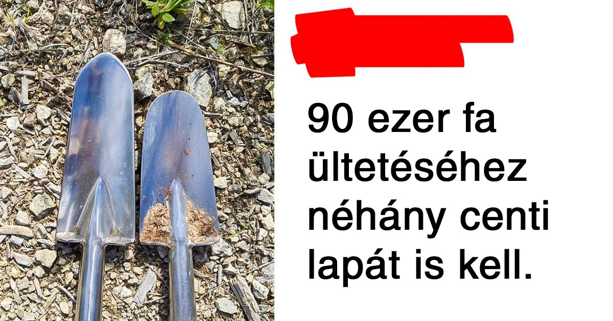 20+ fotó, amire nyugodtan mondhatod: „Most már mindent láttam!”