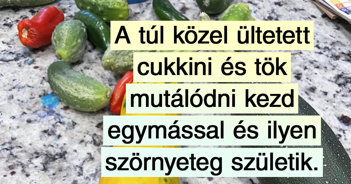 16 fotó, ami egy másodperc alatt elmagyarázza, amit órákon keresztül tanultunk az iskolában