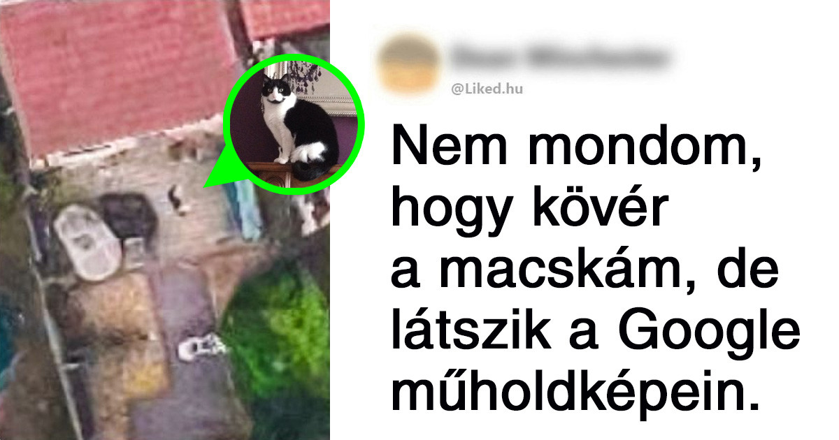 18 ember, aki érdekes felfedezésre bukkant a Google Maps nézegetése közben