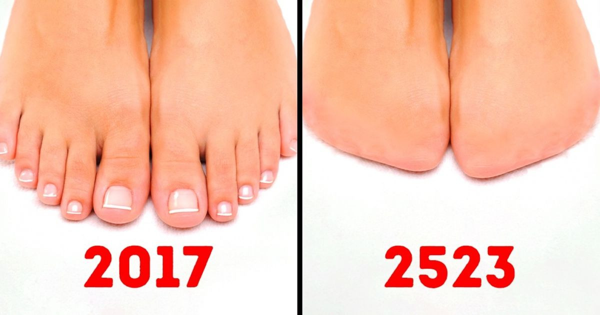 Az emberi test 15 része, ami el fog tűnni a jövőben