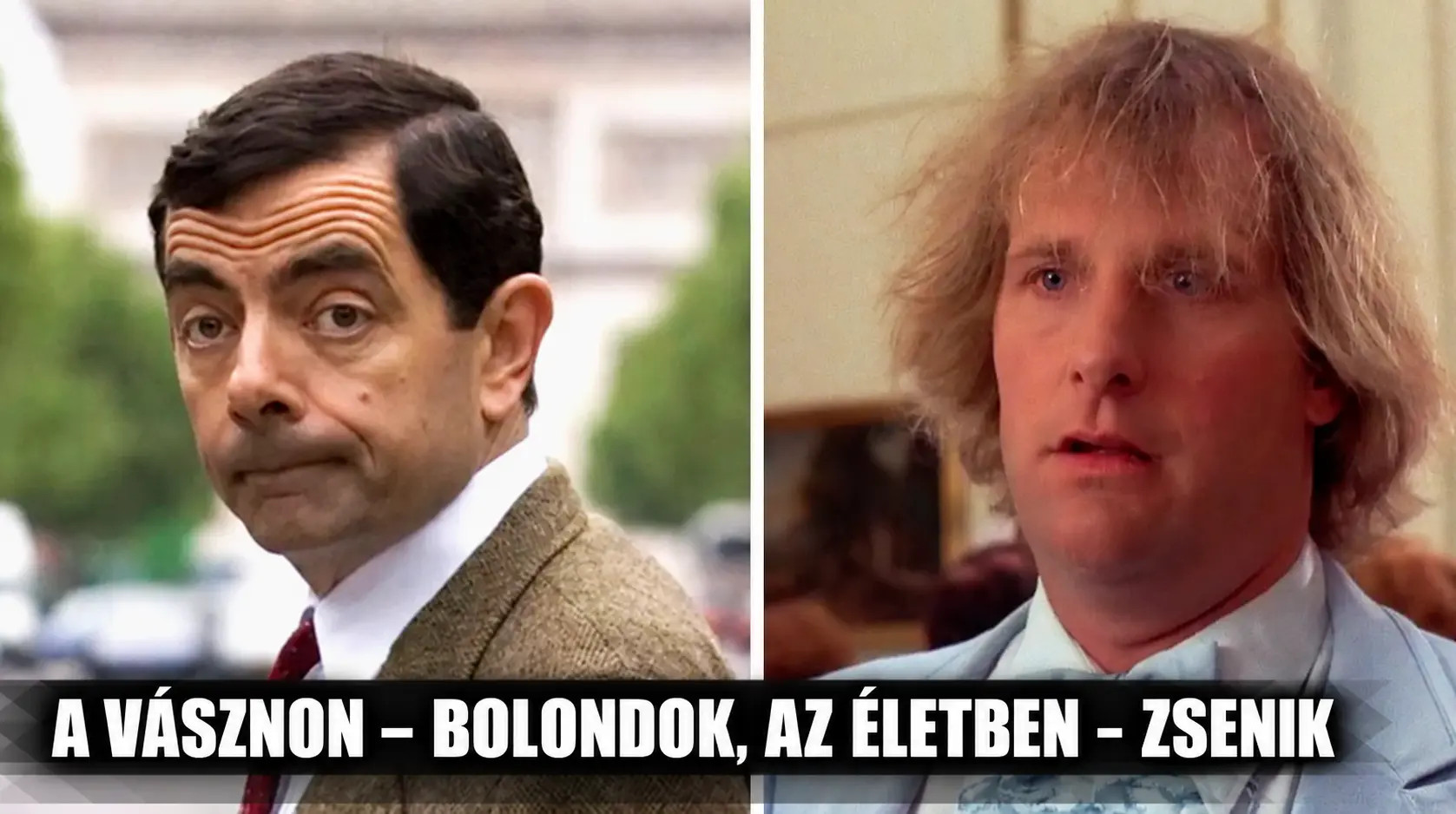7 híres színész, akik a képernyőn ostoba karaktereket alakítottak, de a való életben nagyon is intelligensek