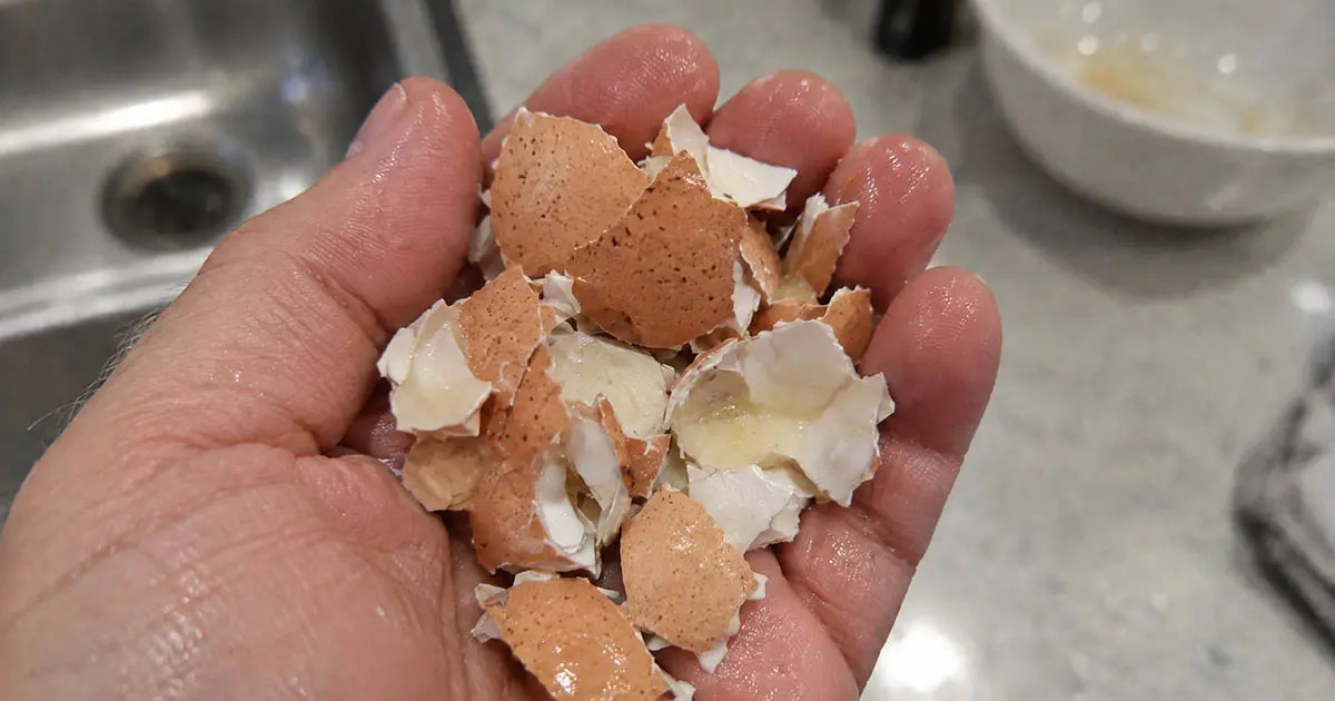 Egy fizikatanár megmutatta, hogyan lehet pontosan 2 másodperc alatt megpucolni egy tojást. Miért nem tanítottak nekünk ilyen fontos dolgokat az iskolában?